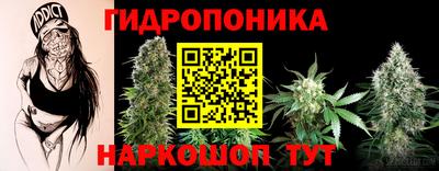скорость Дубна