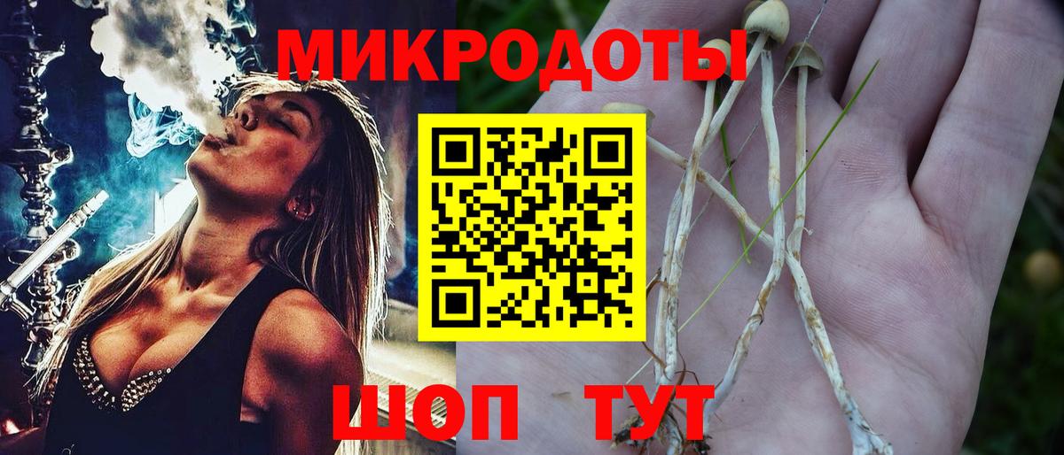 Галлюциногенные грибы мицелий  Вход с VPN  Галлюциногенные грибы MAGIC MUSHROOMS  Назрань 