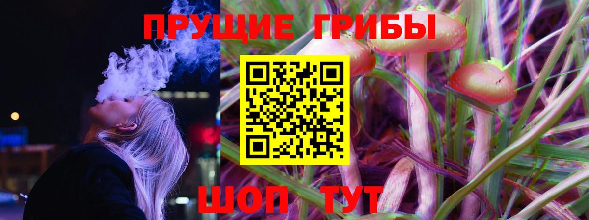 Псилоцибиновые грибы MAGIC MUSHROOMS Назрань